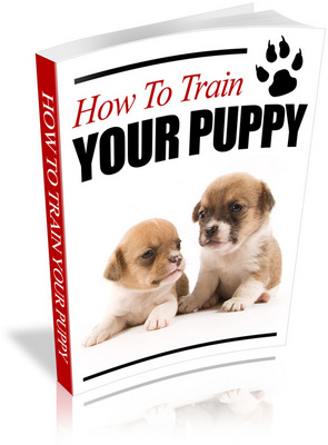 Product picture How to Train Your Puppy Unrestricted PLR