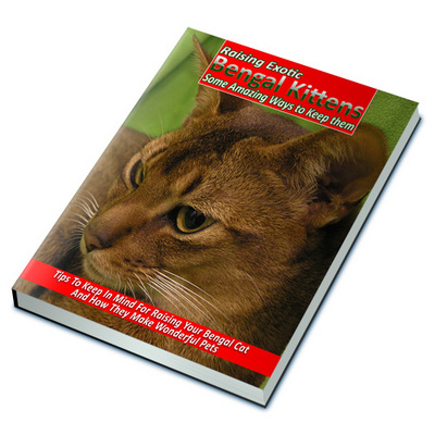 Product picture Raising Exotic Bengal Kittens - Ebook & Audio Package with M